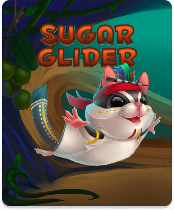 Sugar Glider