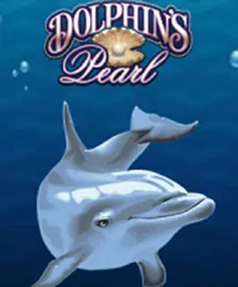 Dolphins Pearl